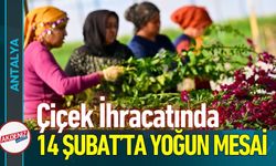 Sevgililer Günü Mesaisi: Antalya’dan 30 Ülkeye Sevkiyat