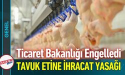 Piyasa Dengesi İçin Dev Adım: Tavuk Etine İhracat Engeli