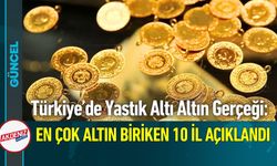 Türkiye’de Yastık Altı Altın Gerçeği
