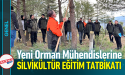 Yeni Orman Mühendislerine Silvikültür Eğitim Tatbikatı!