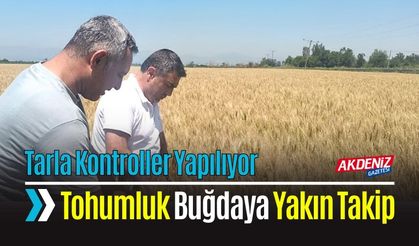 Ekmeklik Buğday Tarlalarında Kontroller Yapıldı