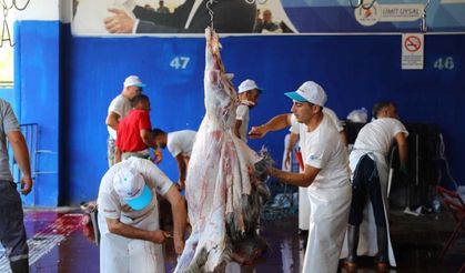 Kurban Kesimi, Ulaşım ve Mezarlık Ziyaretlerinde Ücretsiz Hizmet