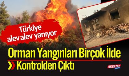 Türkiye Alev Alev: Orman Yangınları Birçok İlde Kontrolden Çıktı