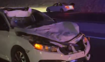 Siirt'te Trafik Kazası: İneğe Çarpan Otomobilde Yaralılar Var