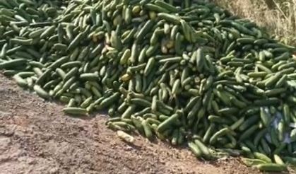 Tarladan Çöpe, "Bu Ne Rezalet!"