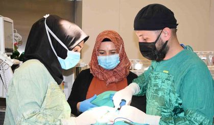 Yozgat Şehir Hastanesi'nde Nadir Hastalık Başarıyla Tedavi Edildi