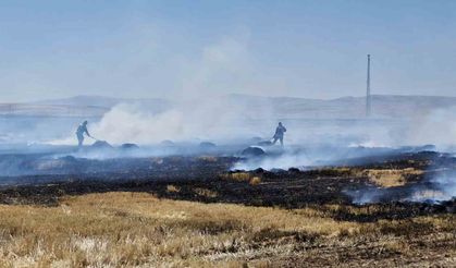 Yüksek Gerilim Hattı Korku Saçtı