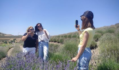 Auran Kozmetik'ten Lavanta Adası'nda Doğayla İç İçe Gezi