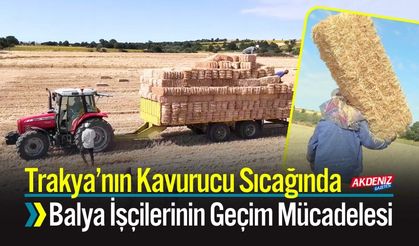 Trakya’nın Kavurucu Sıcağında Balya İşçilerinin Geçim Mücadelesi