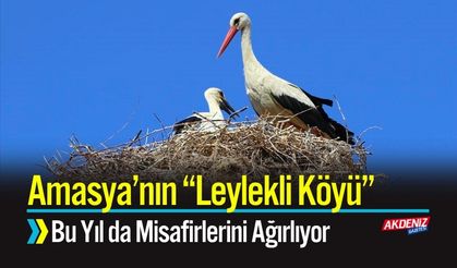 Amasya’nın “Leylekli Köyü” Bu Yıl da Misafirlerini Ağırlıyor