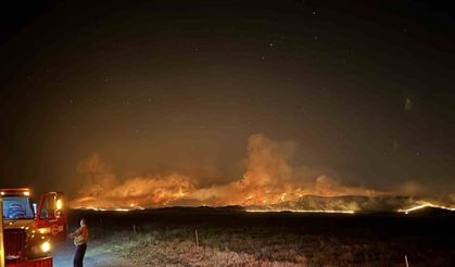 Kaliforniya'da Büyük Orman Yangını