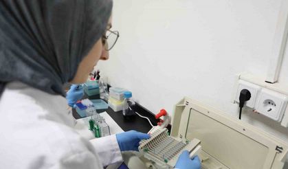 Kansere Yeni Umut; TÜBİTAK Destekli Projede Kereviz Tohumu Mucizesi