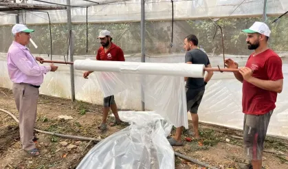 Kumluca'da Seralarda Hasat Sonrası Temizlik Başladı