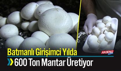 Batmanlı Girişimci Yılda 600 Ton Mantar Üretiyor