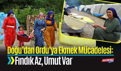 Doğu’dan Ordu’ya Ekmek Mücadelesi: Fındık Az, Umut Var