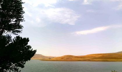 Patnos Barajı Kuruyor: Doğal Yaşam Tehdit Altında