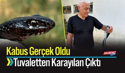 Kabus Gerçek Oldu Tuvaletten Karayılan Çıktı