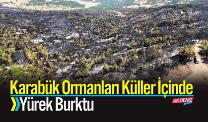 Karabük Ormanları Küller İçinde Yürek Burktu