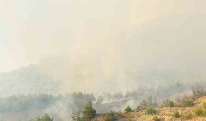 Tarihi İpek Yolu yangınla boğuşuyor