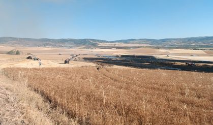 Yangın Ekinleri Yuttu: Boğazkale’de Büyük Tarla Yangını