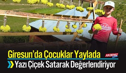 Çocuklar Yaylada Yazı Çiçek Satarak Değerlendiriyor