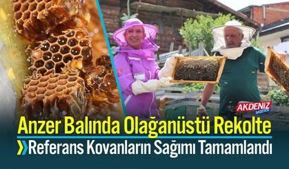 Anzer Balında Olağanüstü Rekolte