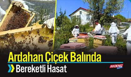 Ardahan Çiçek Balında Bereketli Hasat