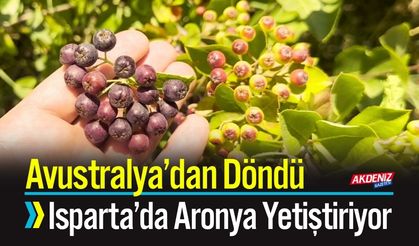 Avustralya’dan Döndü, Isparta’da Aronya Yetiştiriyor