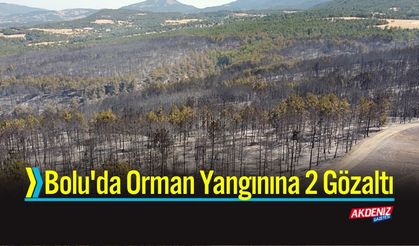 Bolu'da Orman Yangınına 2 Gözaltı