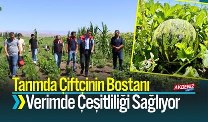 Tarımda Çeşitliliğe Dikkat Çeken Örnek; Çiftçinin Bostanı