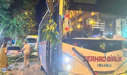 Edirne’de ağaç devrildi, 2 araç hasar gördü