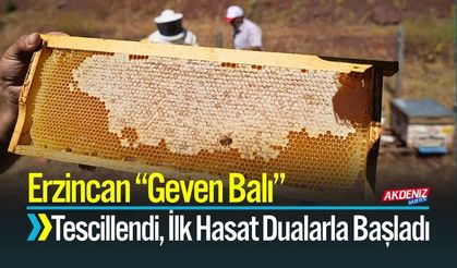 Erzincan Geven Balında İlk Hasat