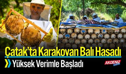 Çatak’ta Karakovan Balı Hasadı Yüksek Verimle Başladı