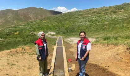 Hayvancılığa Destek: 'Mera Islah ve Amenajman Projesi'