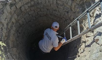 İtfaiye, Su Kuyusuna Düşen Tilkiyi Kurtardı