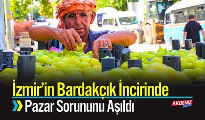 İzmir'de Bardakçık İncirinde Pazar Sorununu Aşıldı