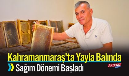 Kahramanmaraş’ta yayla Balında Sağım Dönemi Başladı