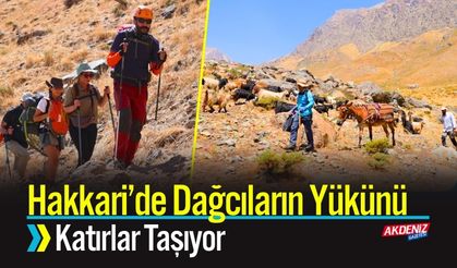 Hakkari’de Dağcıların Yükünü Katırlar Taşıyor