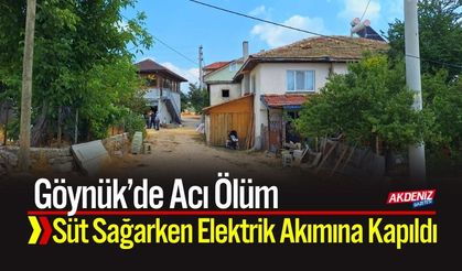 Acı Ölüm: Süt Sağarken Elektrik Akımına Kapıldı