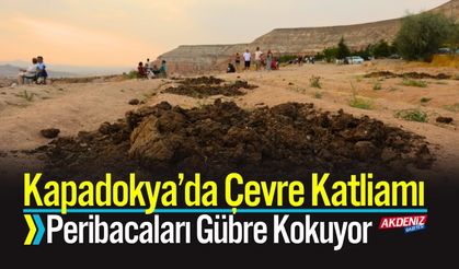 Kapadokya’da Çevre Katliamı: Peribacaları Gübre Kokuyor