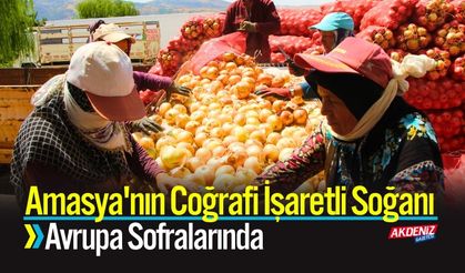 Amasya'nın Coğrafi İşaretli Soğanı Avrupa Sofralarında