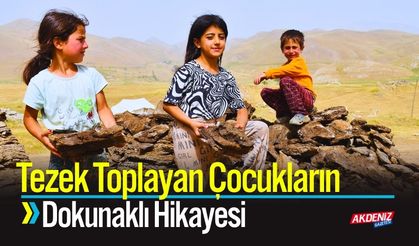 Tezek Toplayan Çocukların Dokunaklı Hikayesi