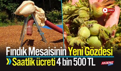 Fındık Mesaisinin Yeni Gözdesi: Saatlik ücreti 4 bin 500 TL