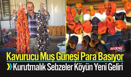 Kavurucu Muş Güneşi Para Basıyor  Köyün Yeni Geliri