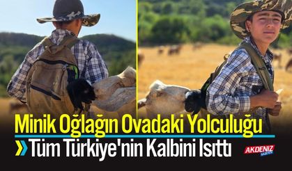 Minik Oğlağın Ovadaki Yolculuğu Kalpleri Isıttı