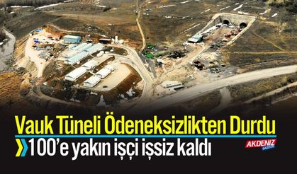 Vauk Tüneli Ödeneksizlikten Durdu:100’e yakın işçi işsiz kaldı
