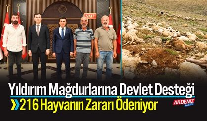 Yıldırım Mağdurlarına Devlet Desteği