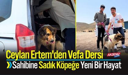 Ceylan Ertem'den Vefa Dersi: Sadık Köpeğe Yeni Bir Hayat