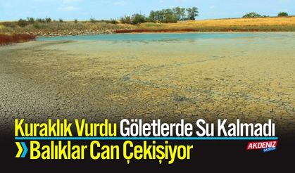 Göletlerde Su Kalmadı, Balıklar Can Çekişiyor