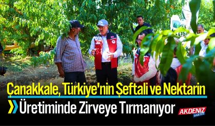 Çanakkale,Şeftali ve Nektarin Üretiminde Zirveye Tırmanıyor